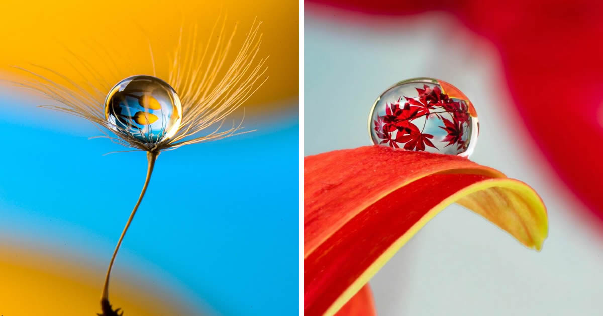 Photographer Reveals the Art Behind His Stunning Water Droplet Photography Techniques