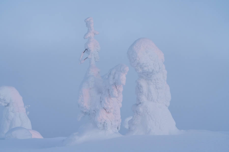 Enchanting Winter Landscape Photos Of Riisitunturi National Park, Finland By Jonas Hafner