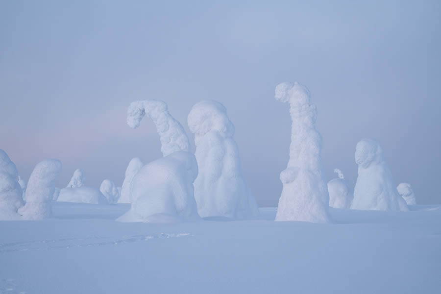 Enchanting Winter Landscape Photos Of Riisitunturi National Park, Finland By Jonas Hafner