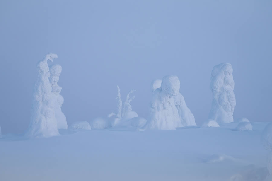 Enchanting Winter Landscape Photos Of Riisitunturi National Park, Finland By Jonas Hafner