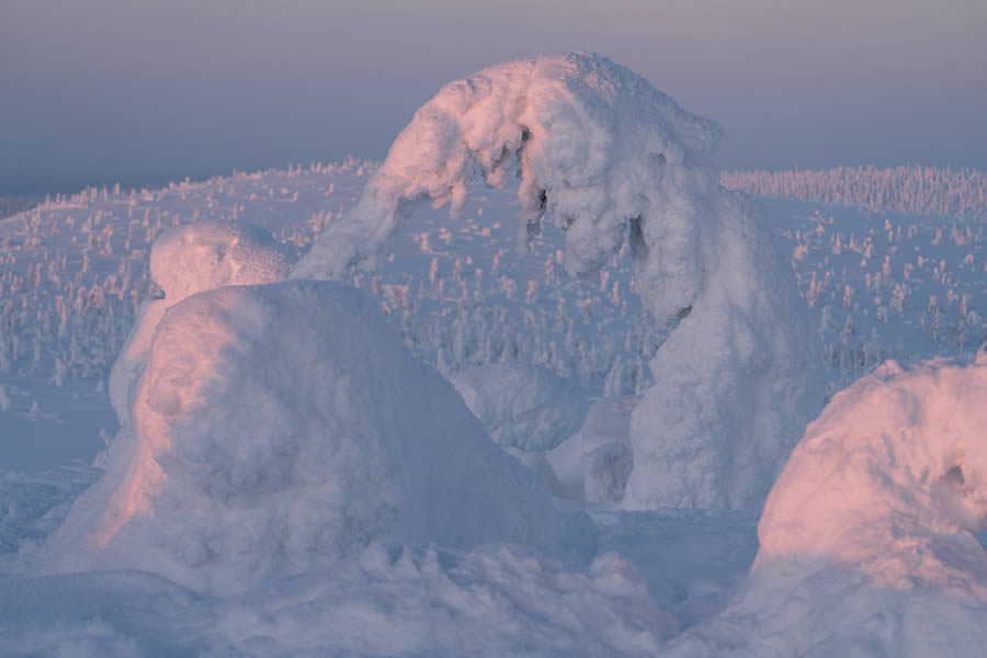 Enchanting Winter Landscape Photos Of Riisitunturi National Park, Finland By Jonas Hafner