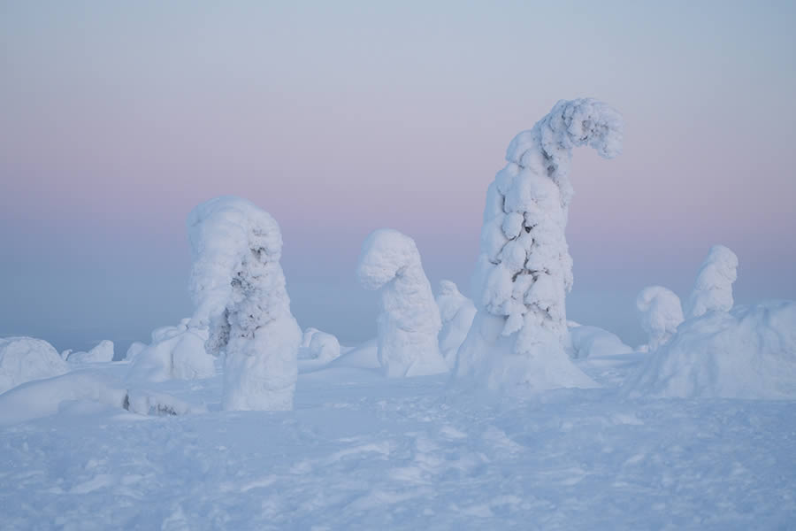 Enchanting Winter Landscape Photos Of Riisitunturi National Park, Finland By Jonas Hafner