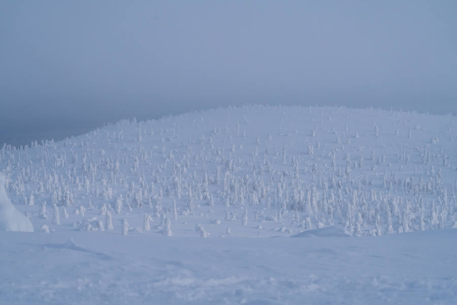 Enchanting Winter Landscape Photos Of Riisitunturi National Park, Finland By Jonas Hafner