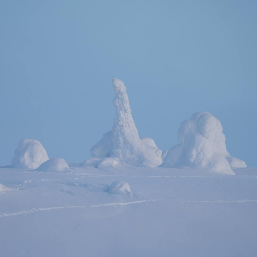 Enchanting Winter Landscape Photos Of Riisitunturi National Park, Finland By Jonas Hafner