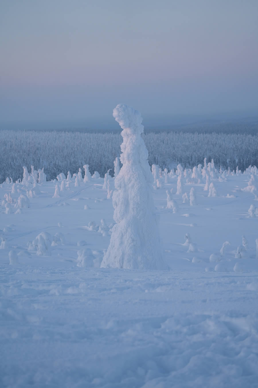 Enchanting Winter Landscape Photos Of Riisitunturi National Park, Finland By Jonas Hafner