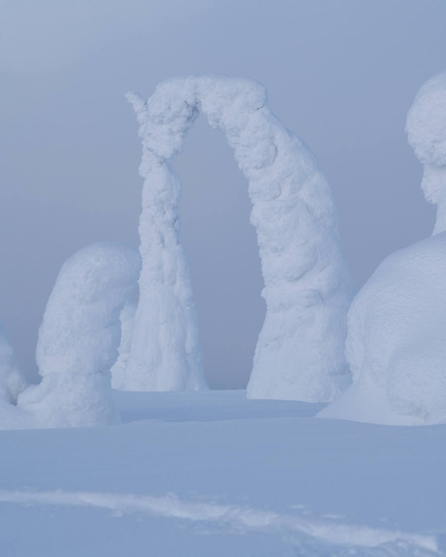 Enchanting Winter Landscape Photos Of Riisitunturi National Park, Finland By Jonas Hafner