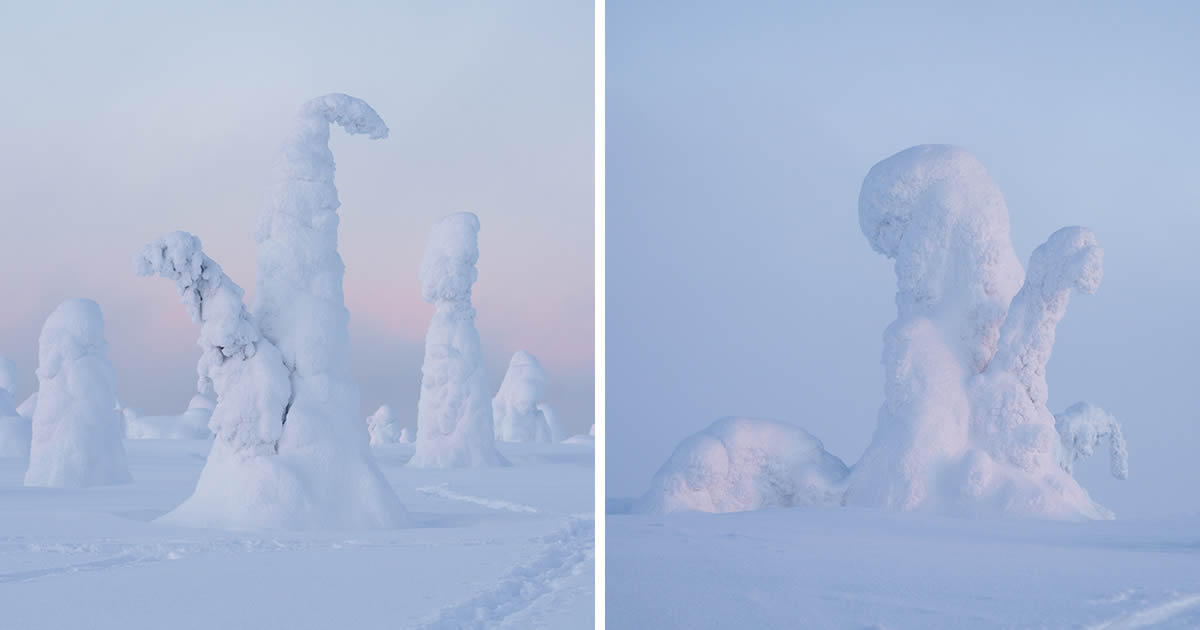 Enchanting Winter Landscape Photos Of Riisitunturi National Park, Finland By Jonas Hafner