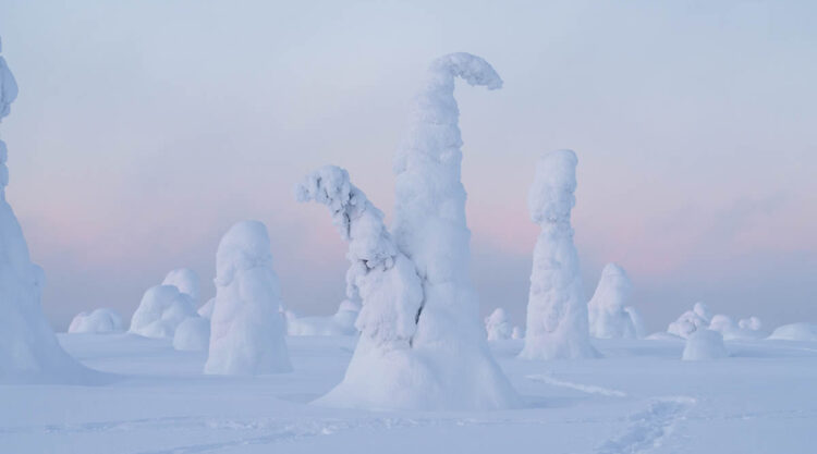 Enchanting Winter Landscape Photos Of Riisitunturi National Park, Finland By Jonas Hafner