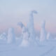 Enchanting Winter Landscape Photos Of Riisitunturi National Park, Finland By Jonas Hafner