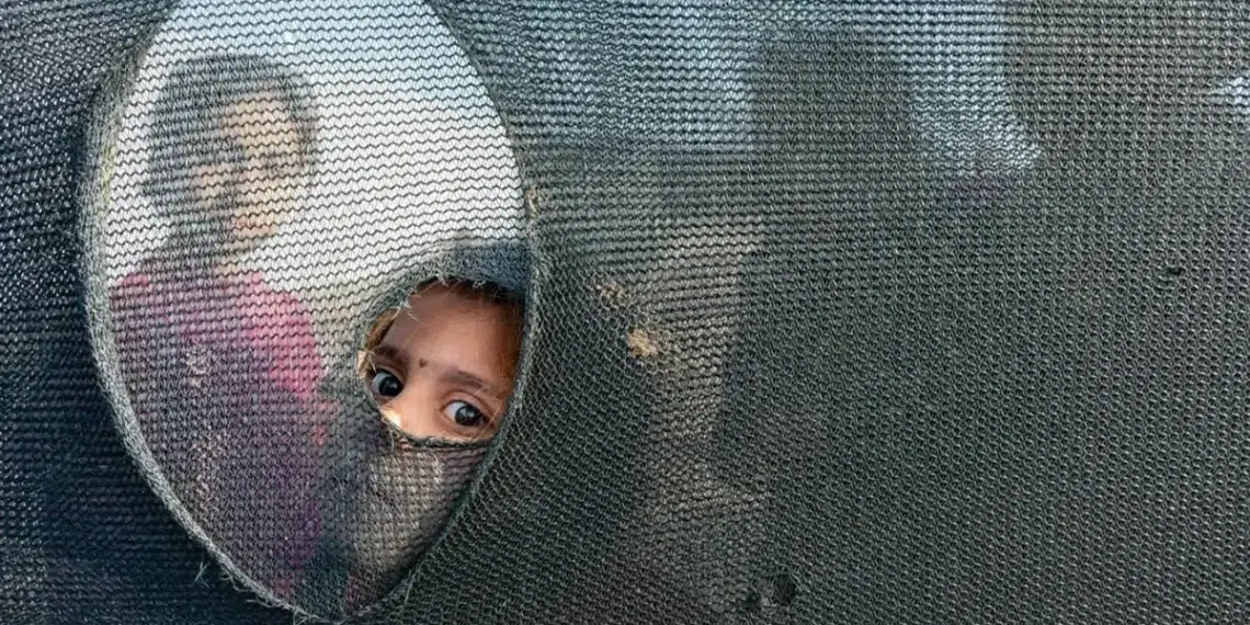 Child peeking through a hole in a dark mesh net with curious eyes