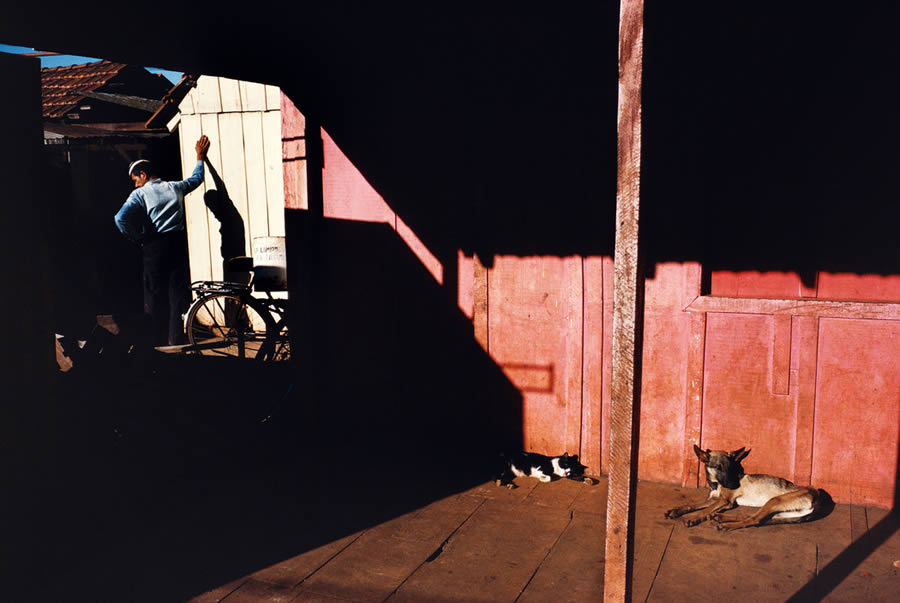 Master Photographer Alex Webb