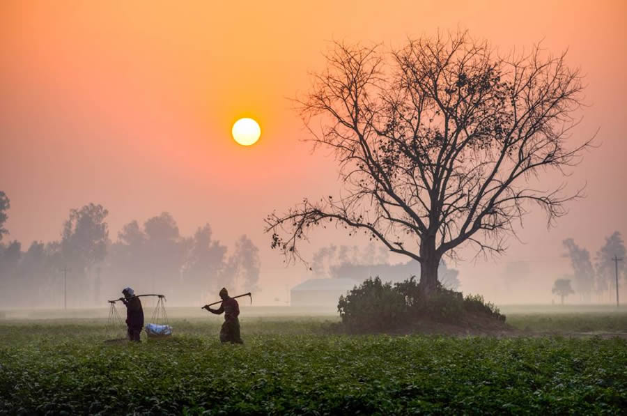 Essence of Daily Life in Bangladesh Photography by Abdul Momin