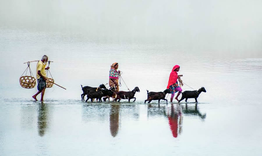 Essence of Daily Life in Bangladesh Photography by Abdul Momin