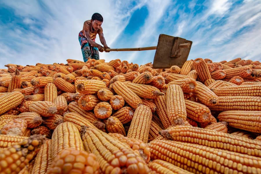 Essence of Daily Life in Bangladesh Photography by Abdul Momin