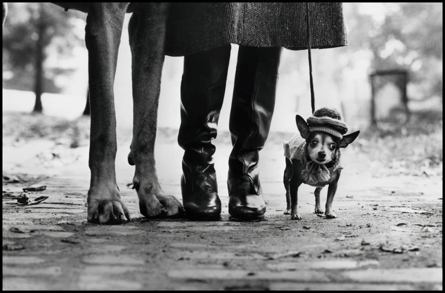 Master Photographer Elliott Erwitt