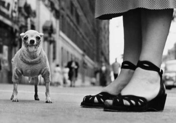 Master Photographer Elliott Erwitt