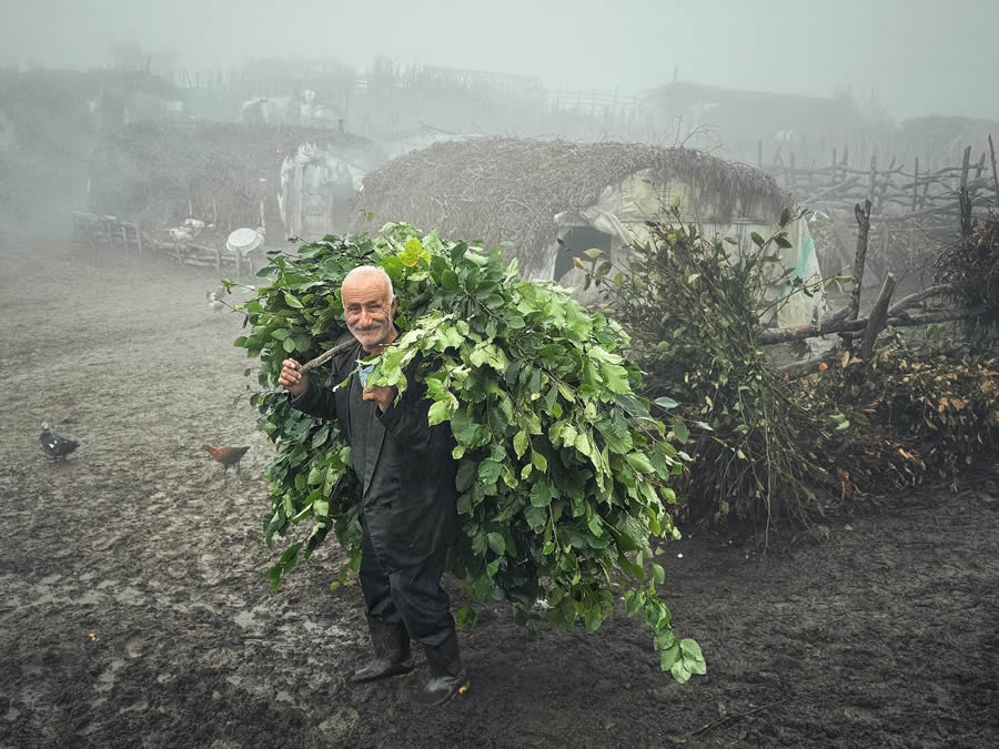 Daily Life Moments Photography in Iran By Hojjat Hamidi