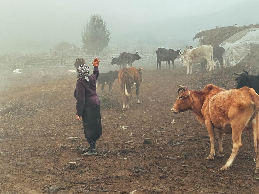 Daily Life Moments Photography in Iran By Hojjat Hamidi