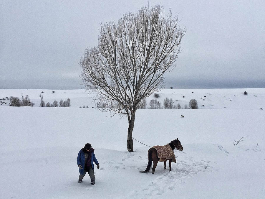 Daily Life Moments Photography in Iran By Hojjat Hamidi