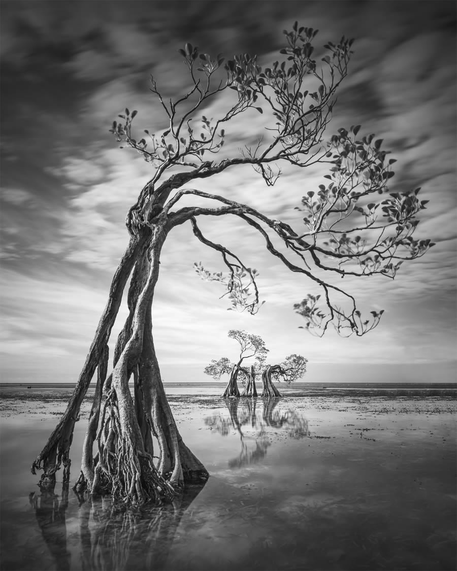 International Landscape Photographer of the Year 2024 Winners