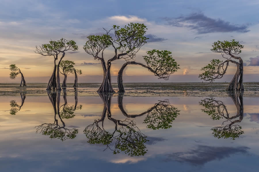 International Landscape Photographer of the Year 2024 Winners