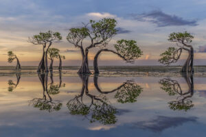 24 Fantastic Winning Photos from the International Landscape Photographer of the Year 2024