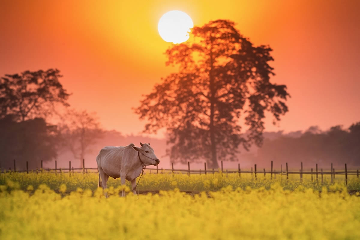 Outstanding Landscape and Travel Photography By Sachin Bharali