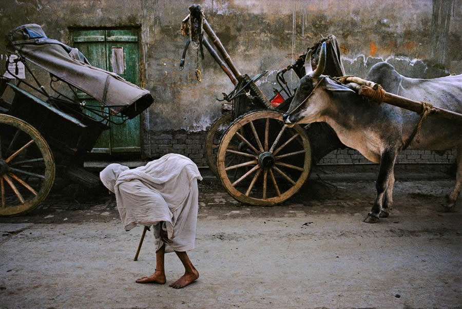 Master Photographer Steve McCurry