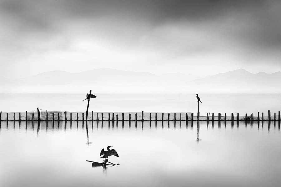 Mesolongi Lagoon Black and White Landscapes by George Digalakis