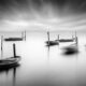 Mesolongi Lagoon Black and White Landscapes by George Digalakis