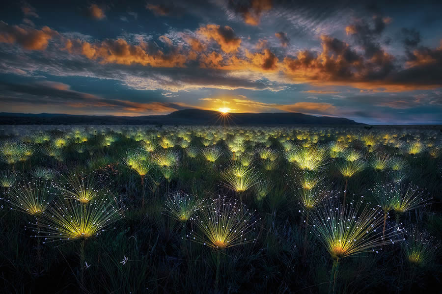 2024 Nature Best Photography Landscape Awards Winners