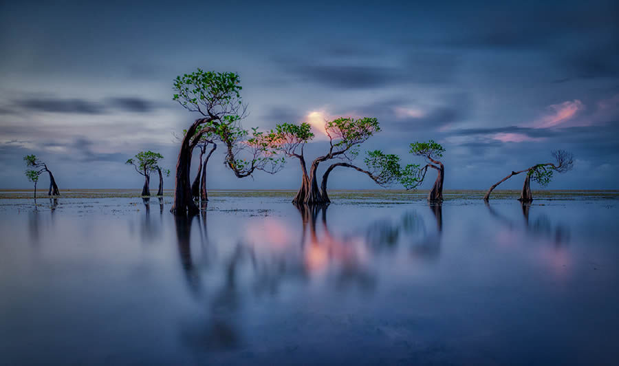 2024 Nature Best Photography Landscape Awards Winners