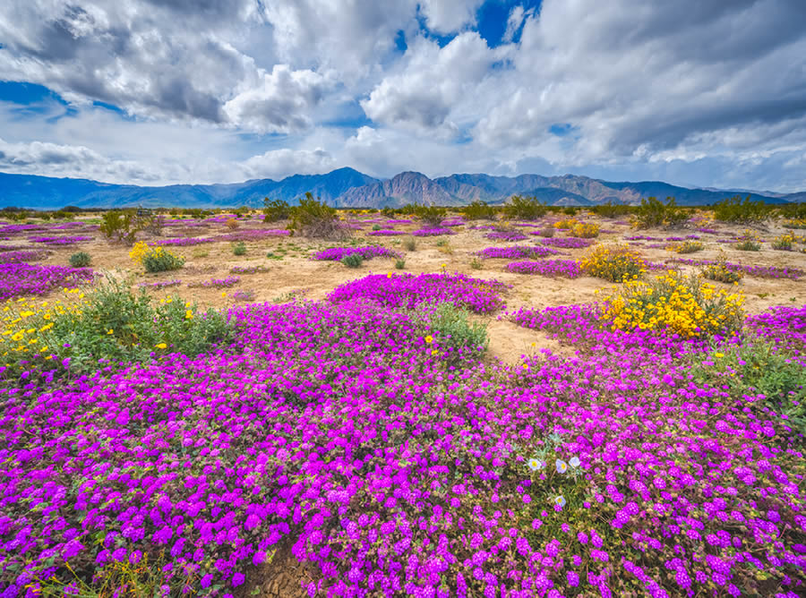 2024 Nature Best Photography Landscape Awards Winners