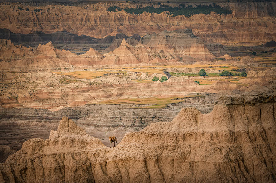 2024 Nature Best Photography Landscape Awards Winners