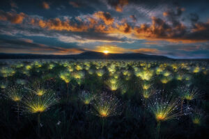 11 Incredible Landscape-Winners From The 2024 Nature’s Best Photography Awards