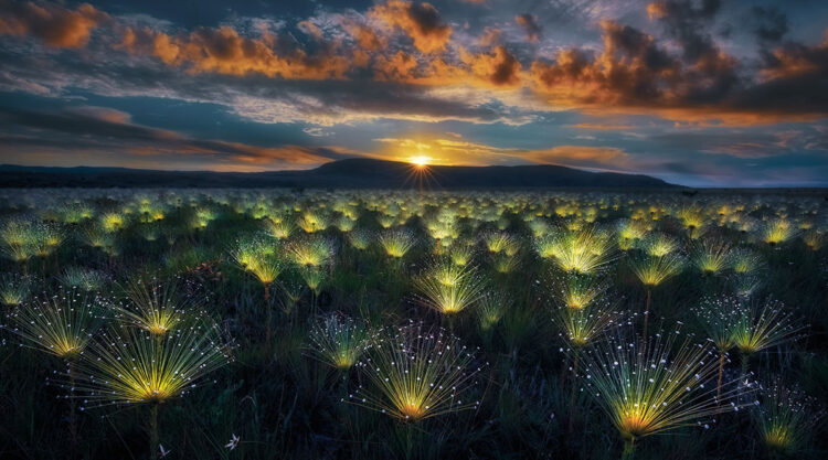 2024 Nature Best Photography Landscape Awards Winners