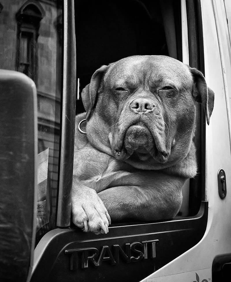 Best Black and White Street Photos from The Decisive Moments Magazine