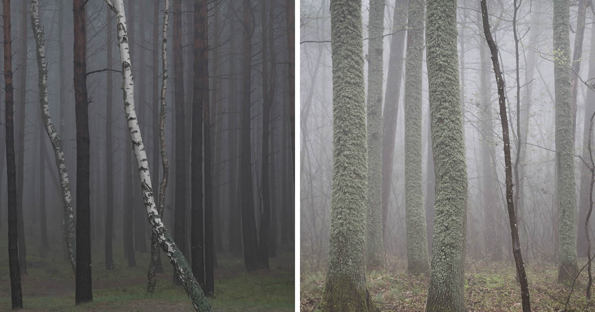 Poetic Landscape Photography by Mindaugas Buivydas