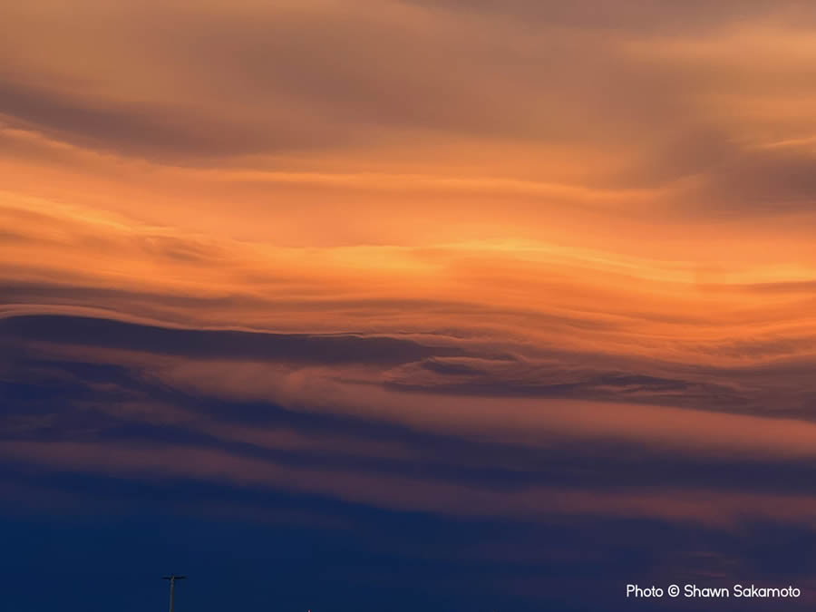 Weather Photographer of the Year Awards 2024 Winners