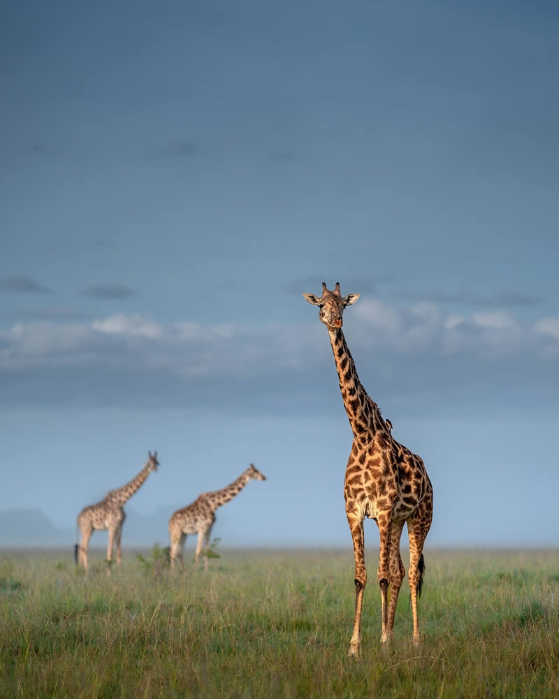 Wildlife Photography by Varun Aditya