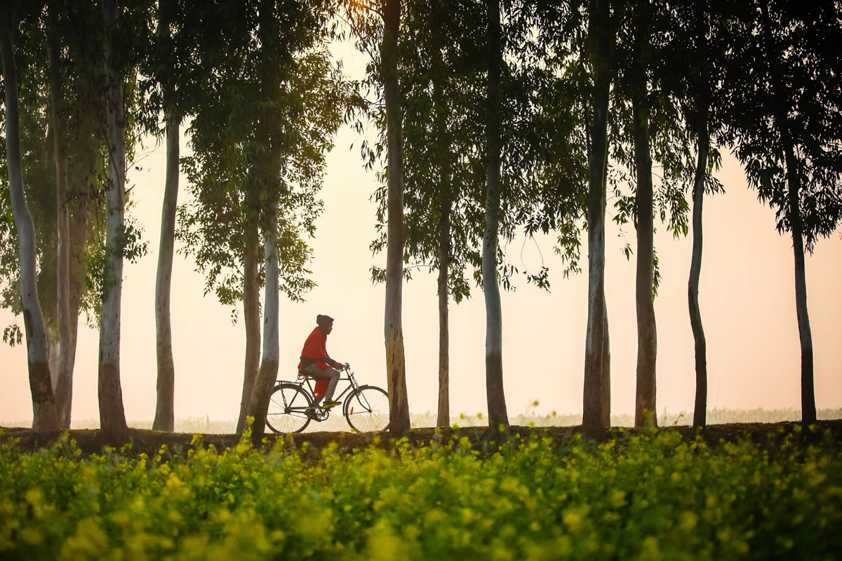 Winter in Bangladesh by Mou Aysha