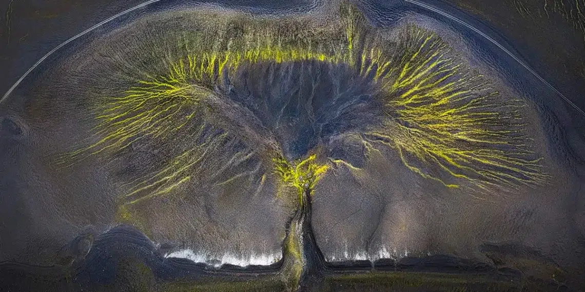 abstract photography awards