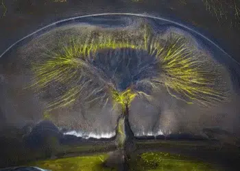 abstract photography awards