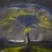 abstract photography awards
