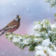 Bird Photographer of the year 2024 winners