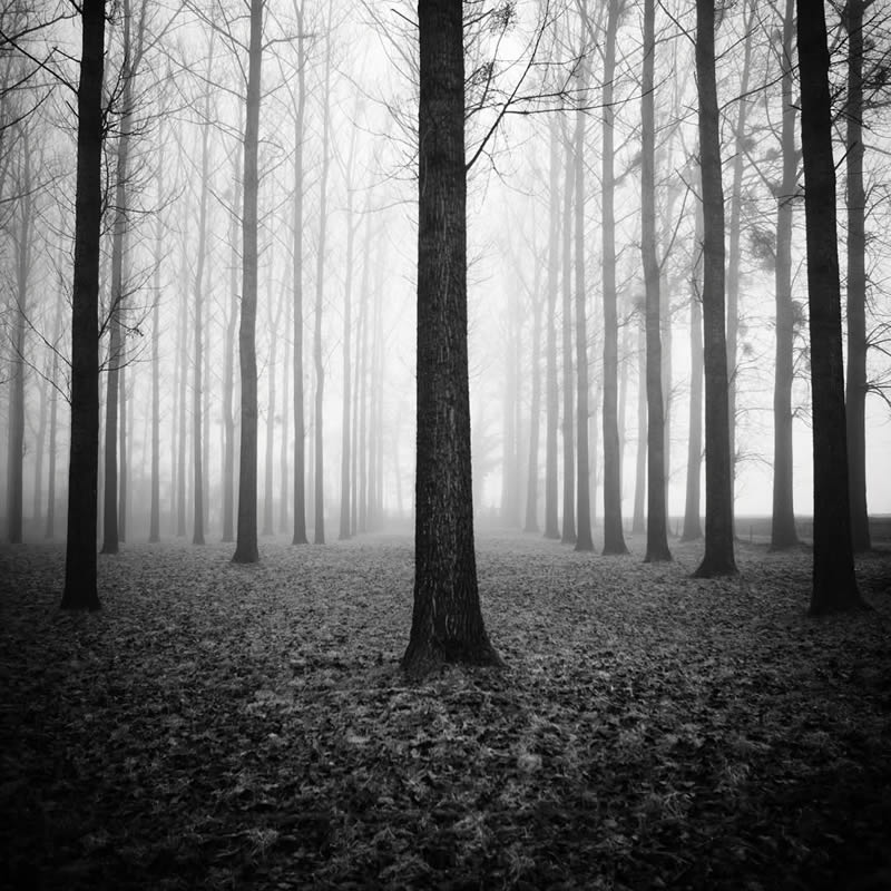 Black and White Landscape Photography by Oliver Robert