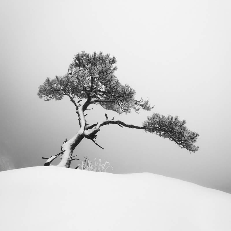 Black and White Landscape Photography by Oliver Robert