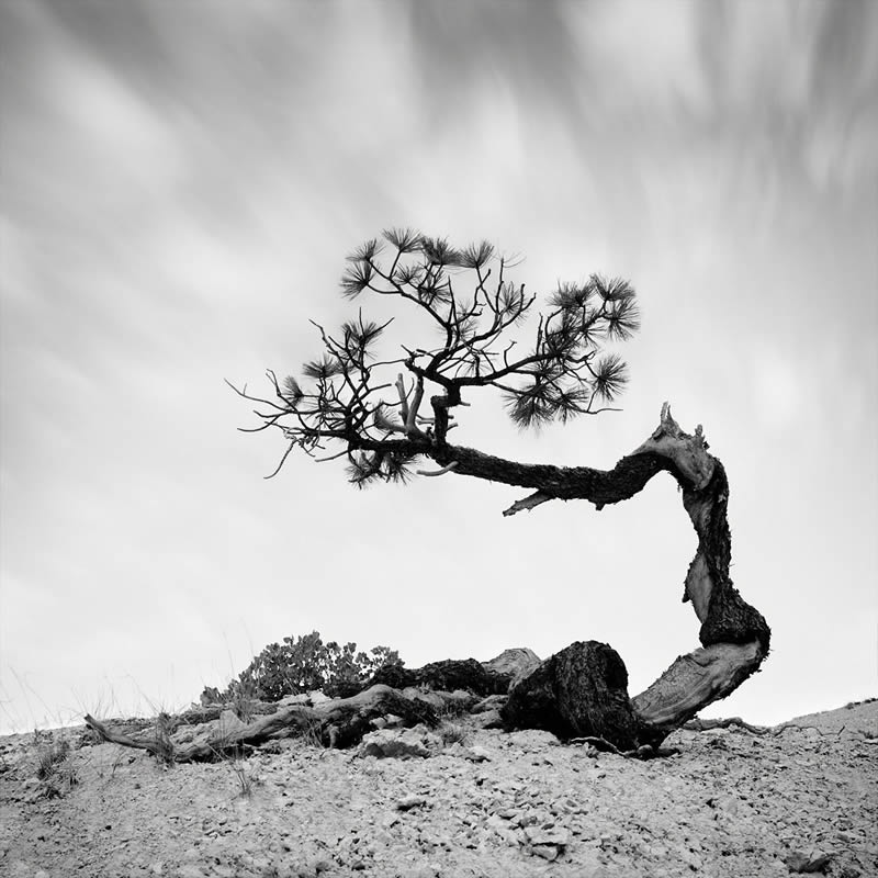 Black and White Landscape Photography by Oliver Robert