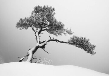 Black and White Landscape Photography by Oliver Robert