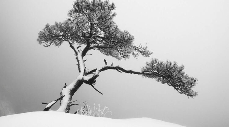 Black and White Landscape Photography by Oliver Robert